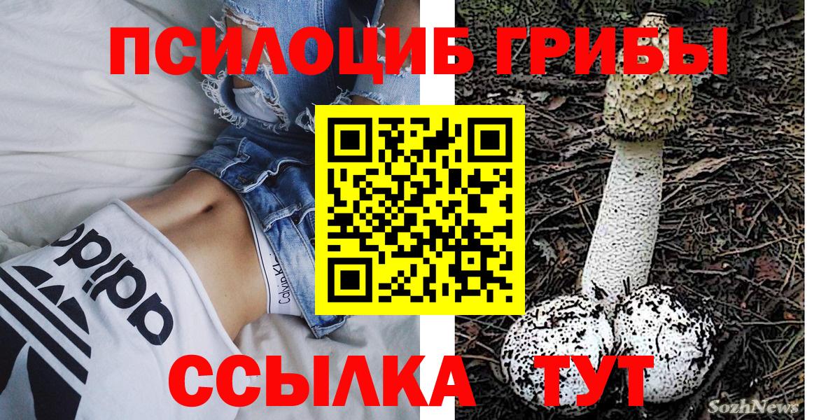 Псилоцибиновые грибы ЛСД Нефтекамск
